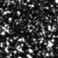 2021acbr_image