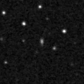 2021accm_image