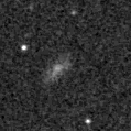 2021acfl_image