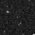 2021acjm_image
