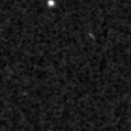 2021aclj_image