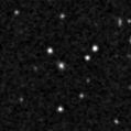 2021acmf_image