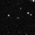2021acmj_image