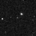 2021acsf_image