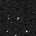 2021adaf_image