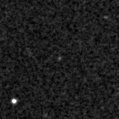 2021adbm_image