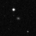 2021adfw_image