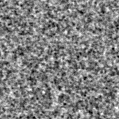 2021adhy_image