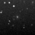 2021adiv_image
