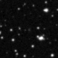 2021adjf_image