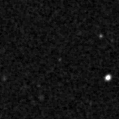 2021adlg_image