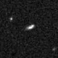 2021adlr_image