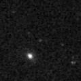 2021adnc_image