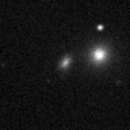 2021adnr_image