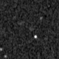 2021adnv_image