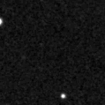 2021adpt_image