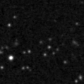 2021adrl_image