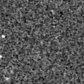 2021adsy_image