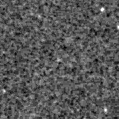 2021advq_image