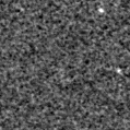 2021advv_image