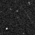 2021adwg_image