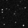 2021adwl_image