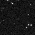 2021adzl_image
