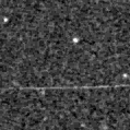 2021aejf_image