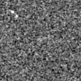 2021aelx_image