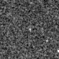 2021aemp_image