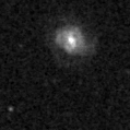 2021aewg_image