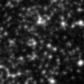 2021aewr_image