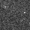 2021afbp_image