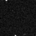 2021afbs_image