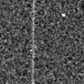 2021afcm_image