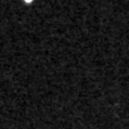 2021afcu_image