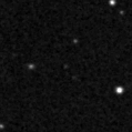 2021afdl_image