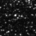 2021afdn_image