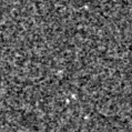2021affu_image