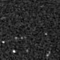 2021afjp_image