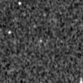 2021aflt_image