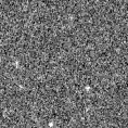 2021afmr_image