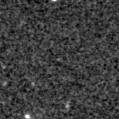 2021afol_image