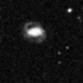 2021afrd_image