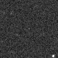 2021afyg_image