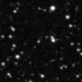 2021agbw_image