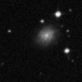 2021agcf_image