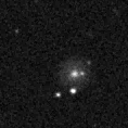 2021agdx_image