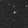 2021agfd_image