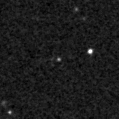 2021agjp_image